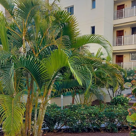 Sanremo Mar Holidays *